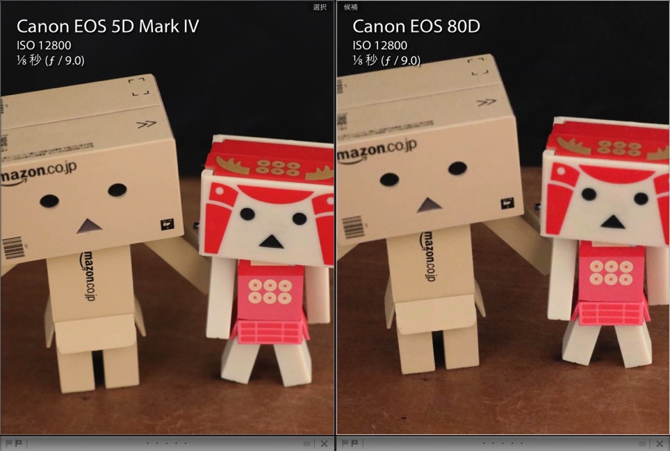 IEOS 5D Mark Ⅳ vs EOS 80D Iso12800