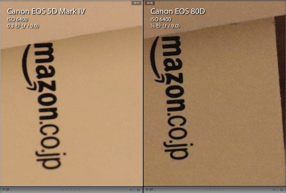 EOS 5D Mark Ⅳ vs EOS 80D Iso6400