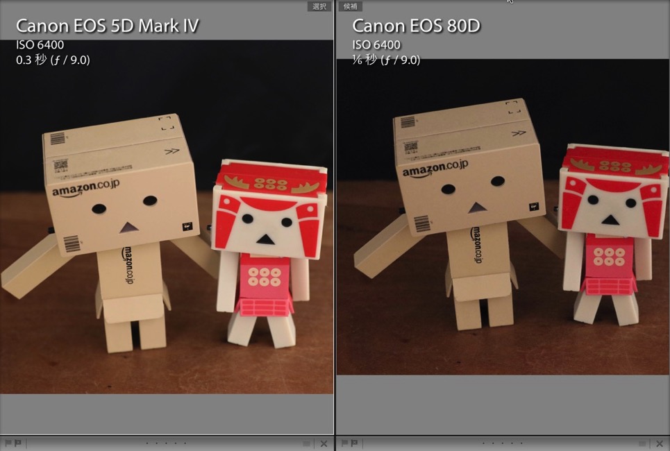 EOS 5D Mark Ⅳ vs EOS 80D Iso6400