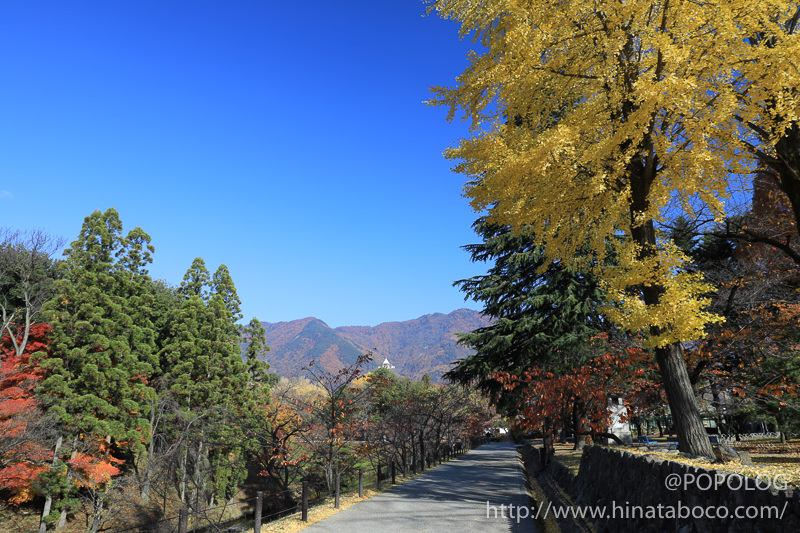 上田城公園のお堀の紅葉