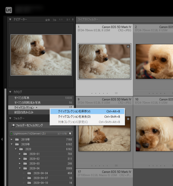 Lightroom クイックコレクションにレンズプロファイル補正の設定