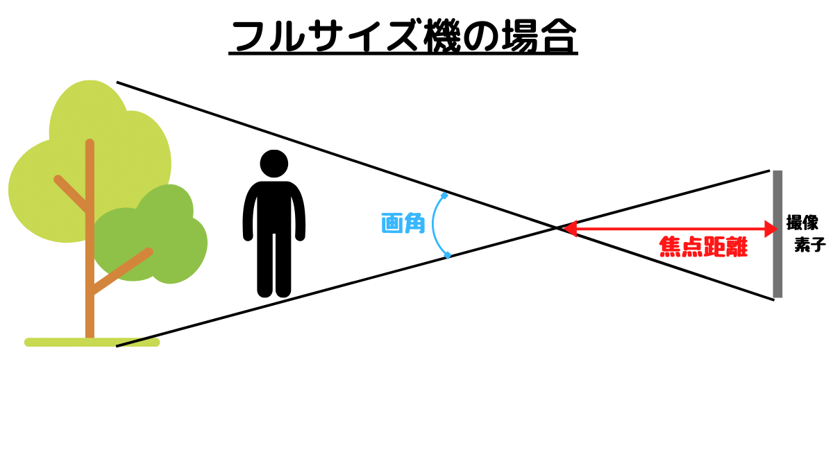 フルサイズ機の画角と焦点距離