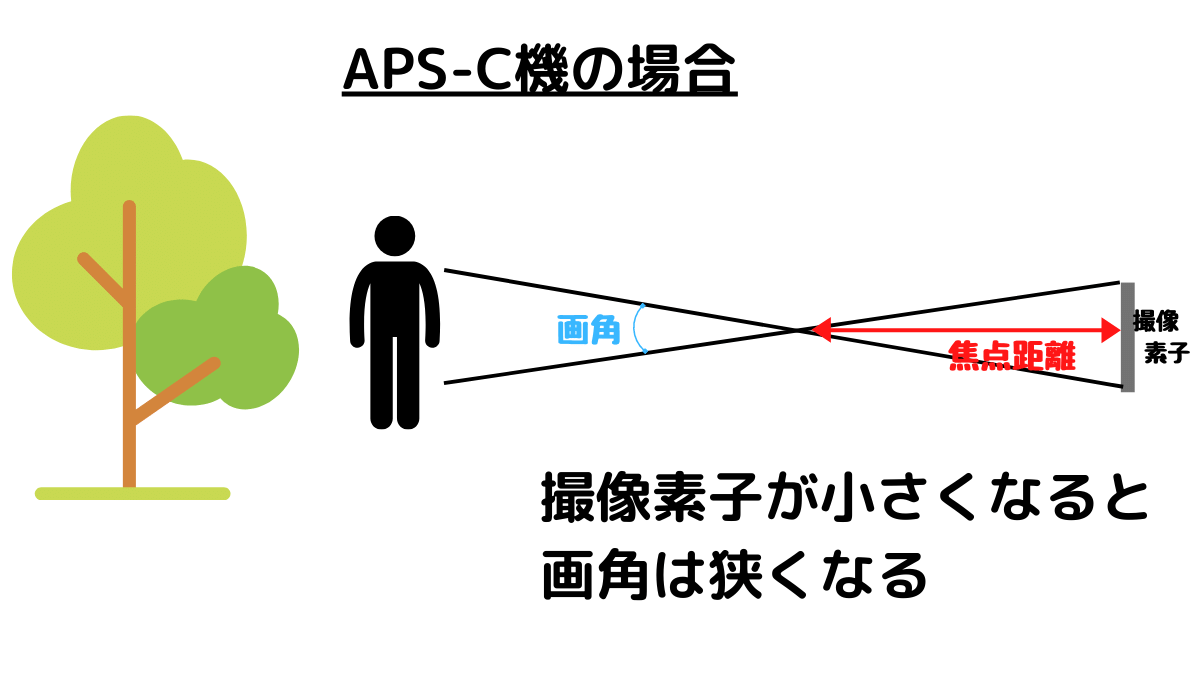 APS-C機の場合は撮像素子が小さいので画角が狭くなる